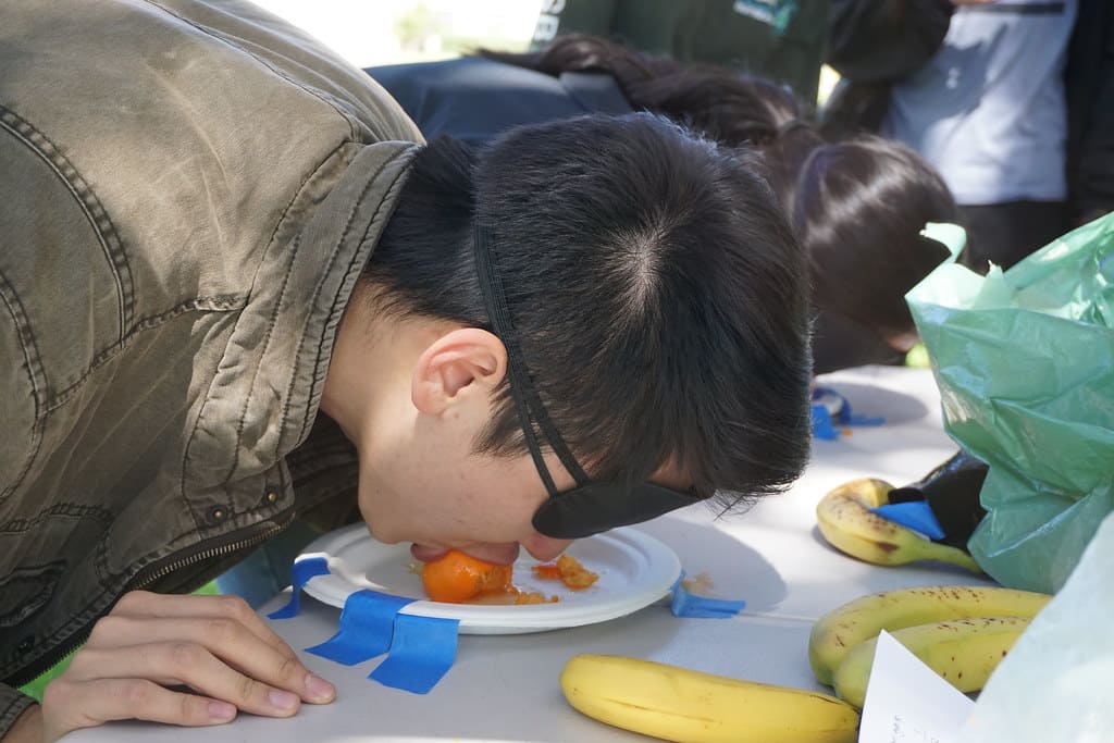 bird box field day